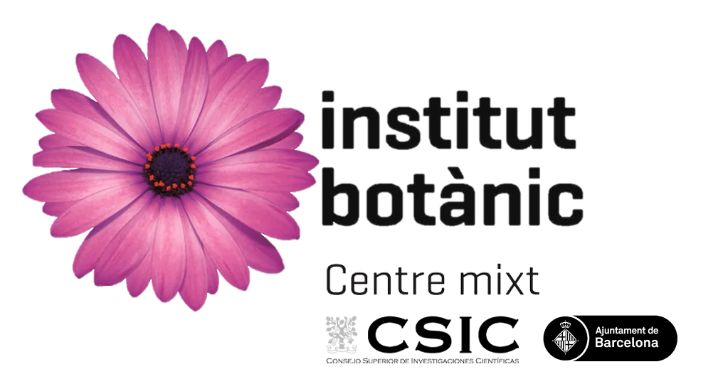 IBB Logo